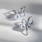 925 silver earrings